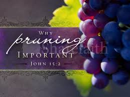 pruning